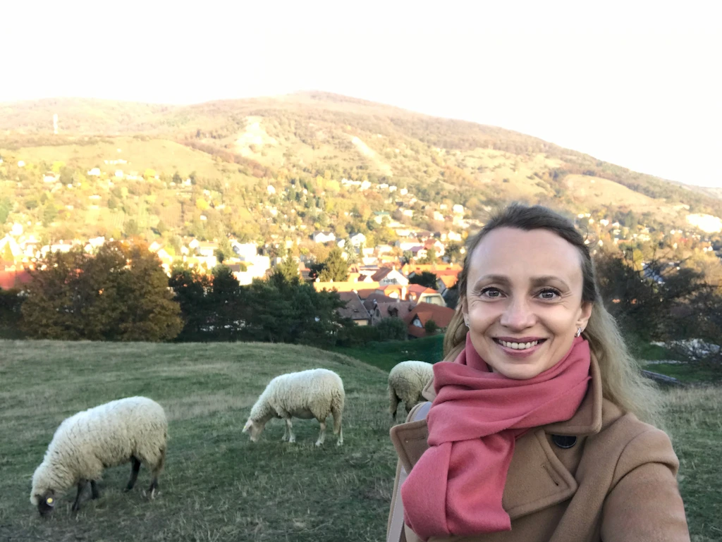 Lexie-on-a-hill-with-grazing-sheep-about-page-nature-inspiration-scaled